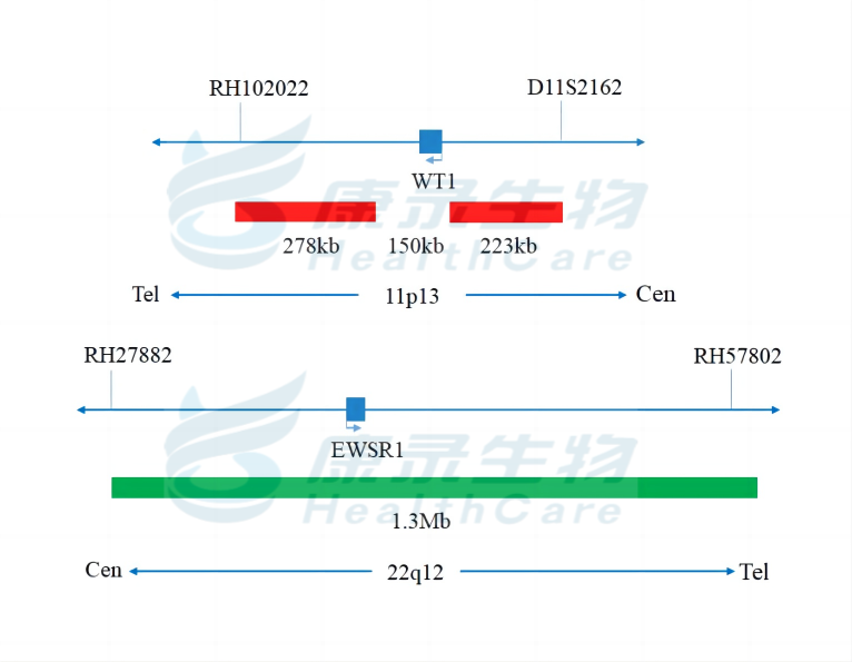 中国·拉斯维加斯(3499·官方认证)网站-Officialwebsite